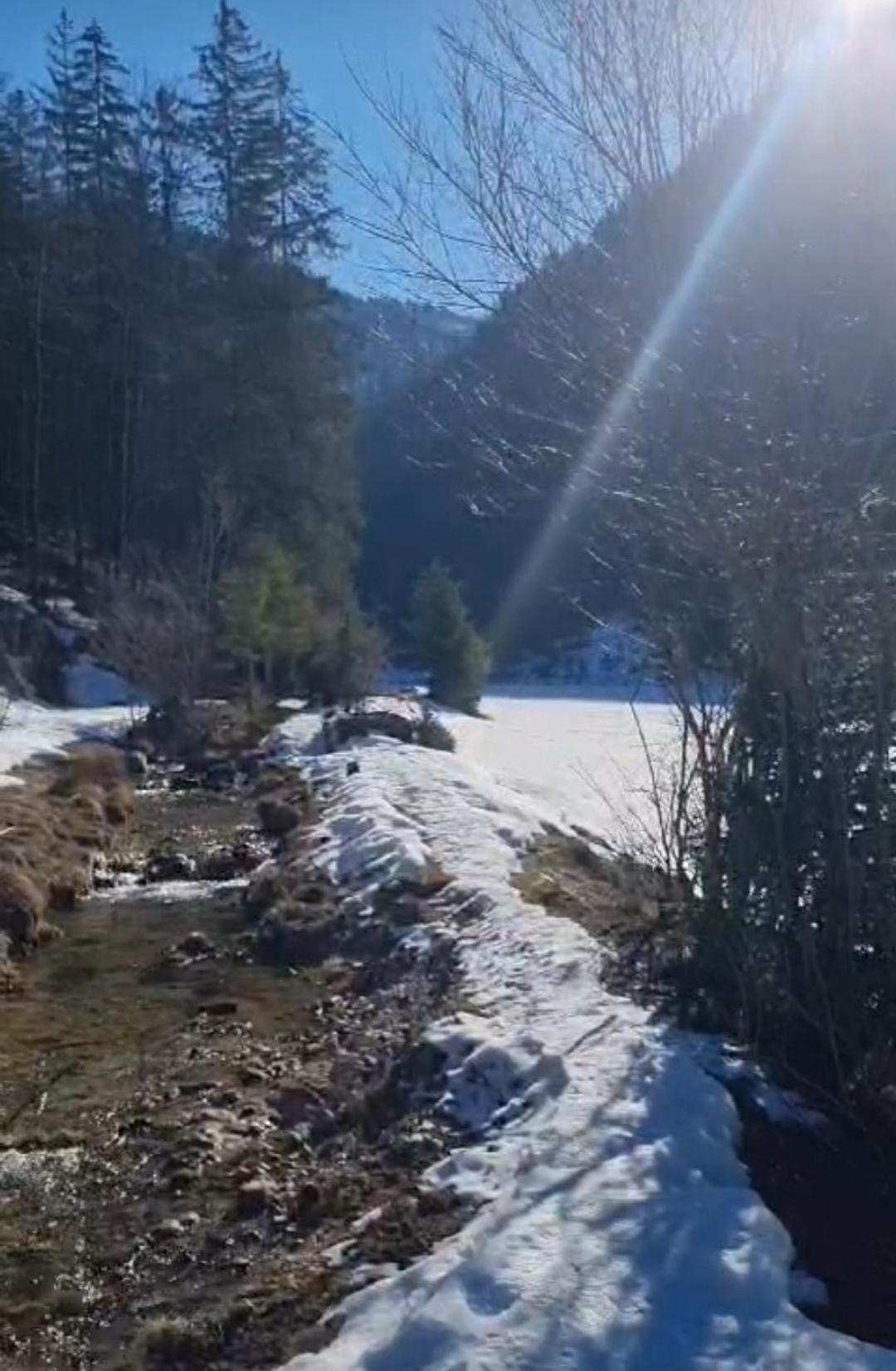 Bio Bauernhof Geisl Lejlighed Sankt Ulrich am Pillersee Eksteriør billede